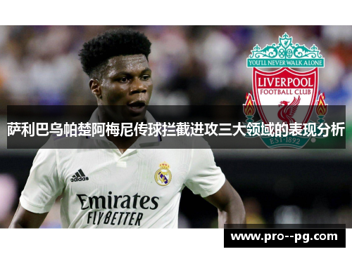 萨利巴乌帕楚阿梅尼传球拦截进攻三大领域的表现分析