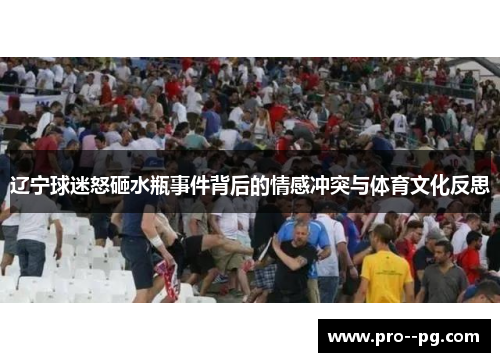 辽宁球迷怒砸水瓶事件背后的情感冲突与体育文化反思