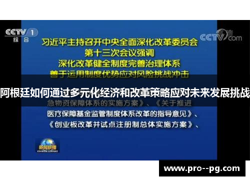 阿根廷如何通过多元化经济和改革策略应对未来发展挑战