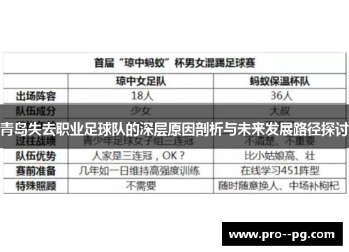 青岛失去职业足球队的深层原因剖析与未来发展路径探讨 青岛失去职业足球队的深层原因剖析与未来发展路径探讨