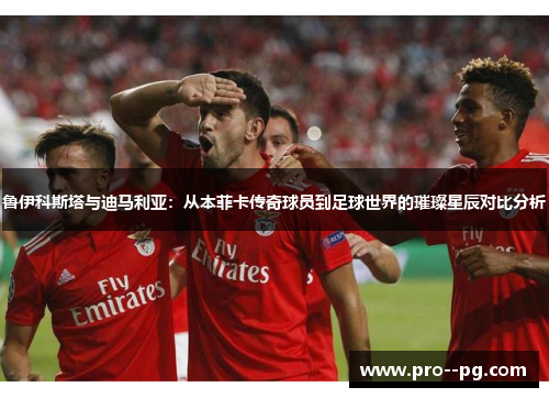 鲁伊科斯塔与迪马利亚:从本菲卡传奇球员到足球世界的璀璨星辰对比分析 鲁伊科斯塔与迪马利亚:从本菲卡传奇球员到足球世界的璀璨星辰对比分析