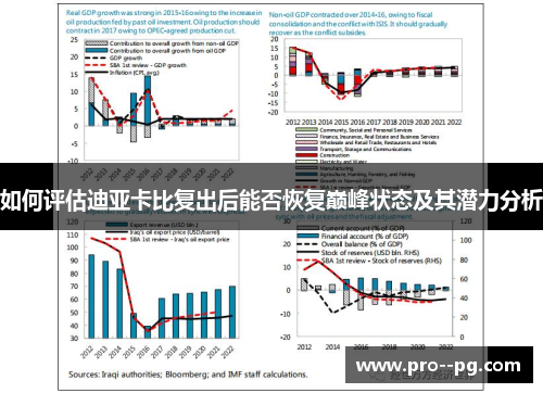 如何评估迪亚卡比复出后能否恢复巅峰状态及其潜力分析 如何评估迪亚卡比复出后能否恢复巅峰状态及其潜力分析