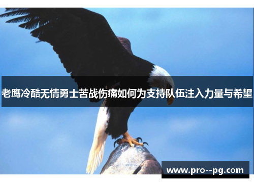 老鹰冷酷无情勇士苦战伤痛如何为支持队伍注入力量与希望