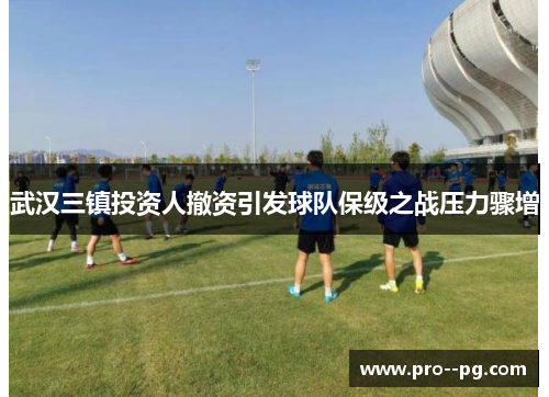 武汉三镇投资人撤资引发球队保级之战压力骤增 武汉三镇投资人撤资引发球队保级之战压力骤增
